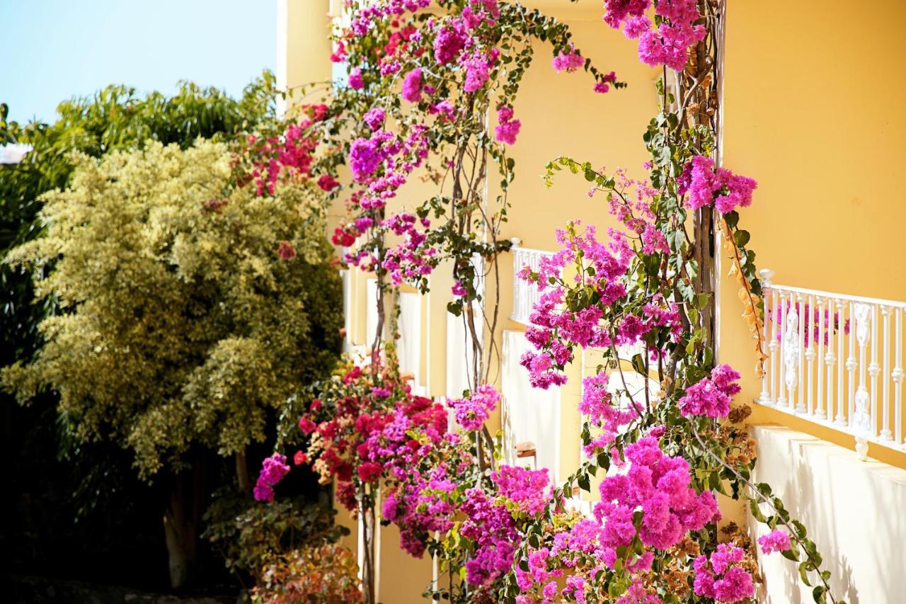 R2 Buganvilla Hotel & Spa Морро-дель-Хабле Екстер'єр фото